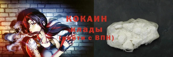 хмурый Инсар