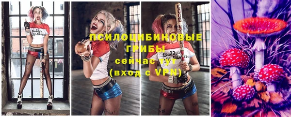 бутират Иннополис