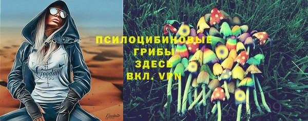 бутират Иннополис