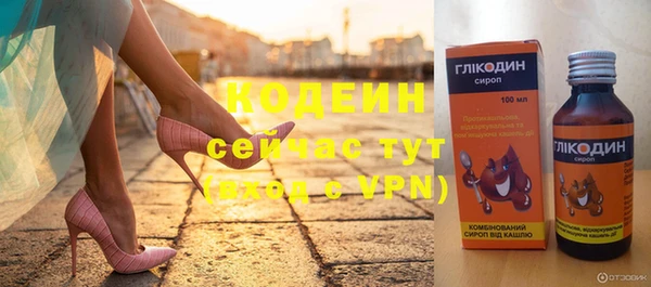 хмурый Инсар