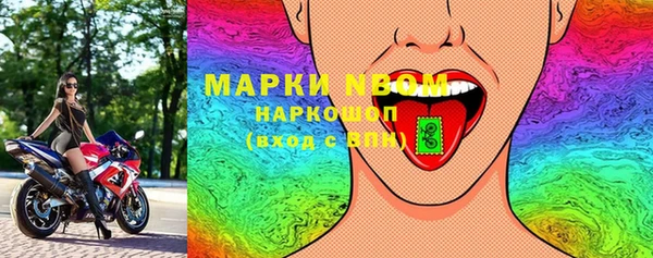хмурый Инсар