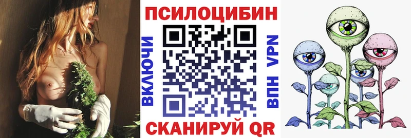 Купить где  Нефтекумск  Галлюциногенные грибы Psilocybe 