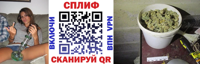 Купить где  Нефтекумск  Каннабис семена 